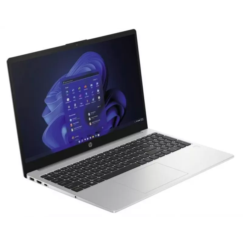 HP 250 G10 Intel® N N100 Portátil 39,6 cm (15,6 inch) Full HD 8 GB DDR4-SDRAM 256 GB SSD Wi-Fi 6 (802.11ax) Windows 11 Home Plata