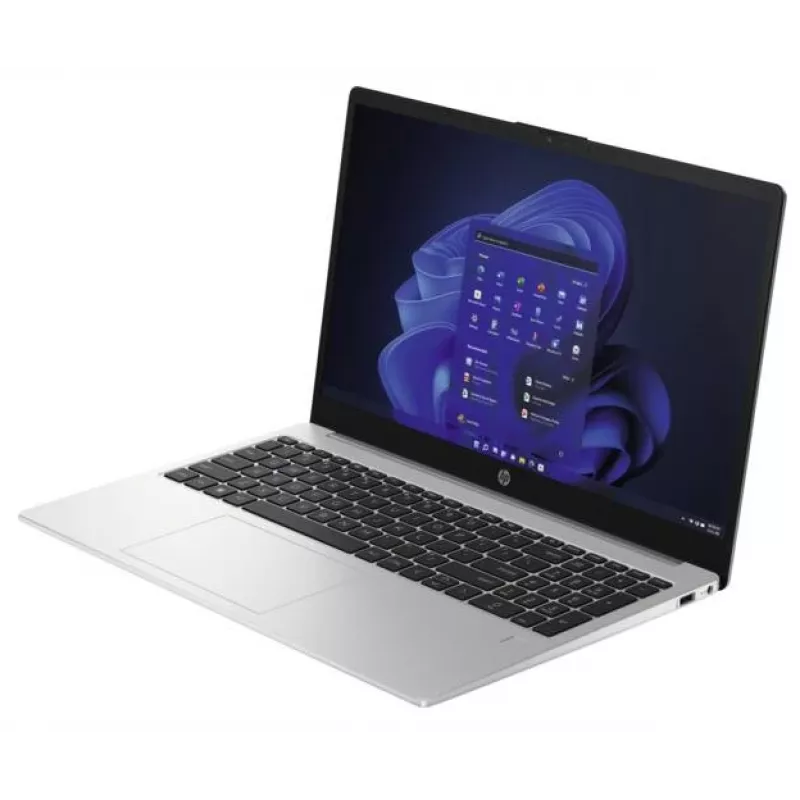 HP 250 G10 Intel® N N100 Portátil 39,6 cm (15,6 inch) Full HD 8 GB DDR4-SDRAM 256 GB SSD Wi-Fi 6 (802.11ax) Windows 11 Home Plata