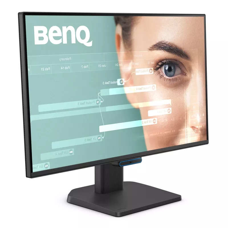 Monitor de ordenador BenQ GW2490C 60,5 cm (23,8 pulgadas) Full HD 1920×1080 5 ms 178° VESA Negro con altavoces