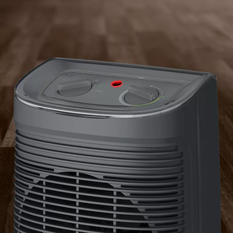 Rowenta Instant Comfort SO6511 interior gris 2200 W calefactor eléctrico de ventilador