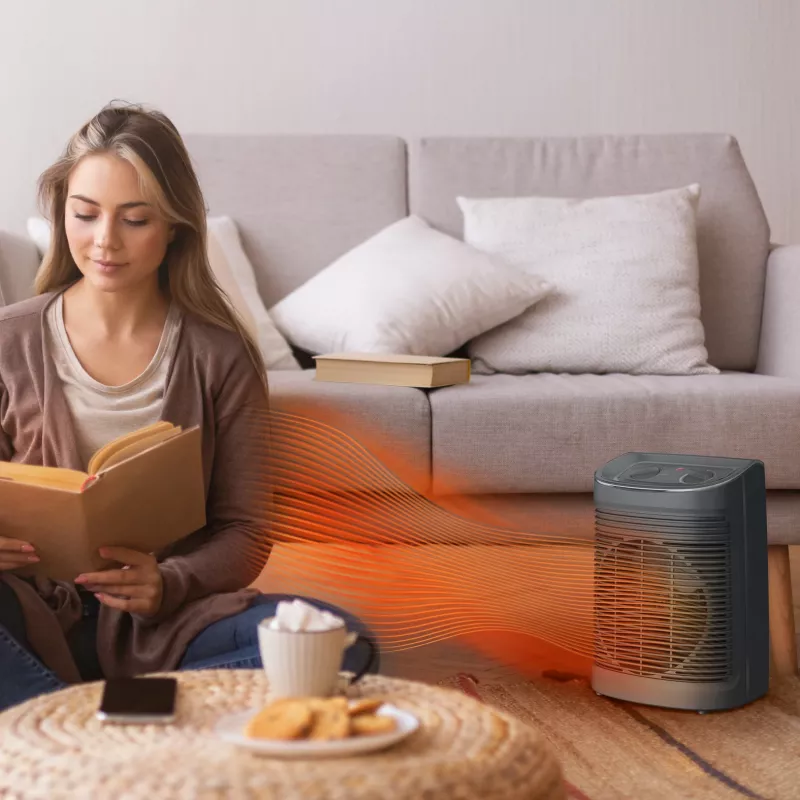 Rowenta Instant Comfort SO6511 interior gris 2200 W calefactor eléctrico de ventilador