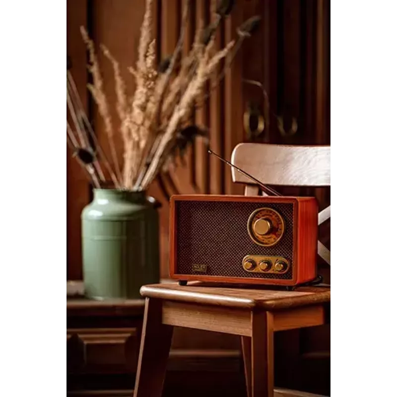 Radio portátil Adler AD 1171 – AM/FM, 10 W RMS, Bluetooth, antena externa, bronce, 290×200×172 mm