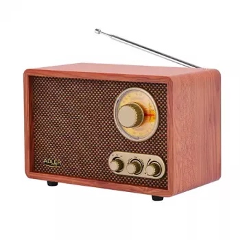Radio portátil Adler AD 1171 – AM/FM, 10 W RMS, Bluetooth, antena externa, bronce, 290×200×172 mm