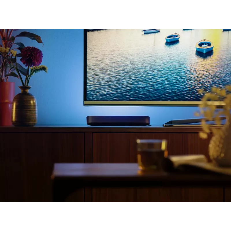 Philips Hue Play Light Bars Kit de Inicio – 2 Play Light Bars + Hue Bridge Pro, Bluetooth, Negro, Conector Type-C
