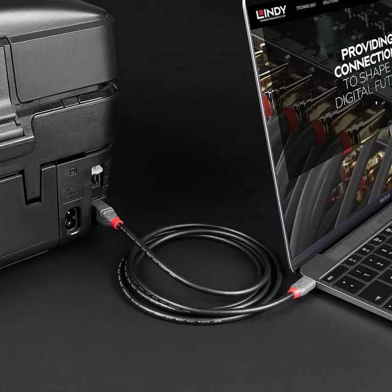Cable USB 2.0 Type-C a B Lindy de 2 m, Anthra Line, 2 m, USB C, USB B, USB 2.0, 0,48 Gbit/s, negro