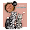 3Coty comida húmeda para gatos con pavo y conejo 80 g