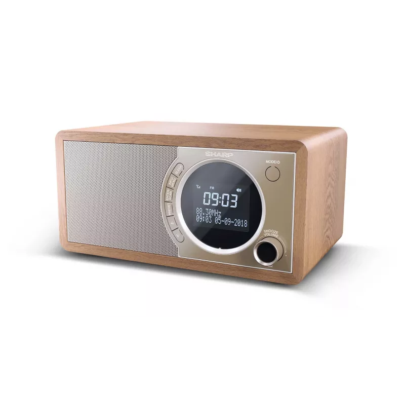 Sharp DR-450 Personal Digital Marrón, Acero inoxidable