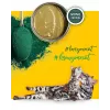 3Coty comida húmeda con pollo y espirulina para gatitos y gatas lactantes 80 g