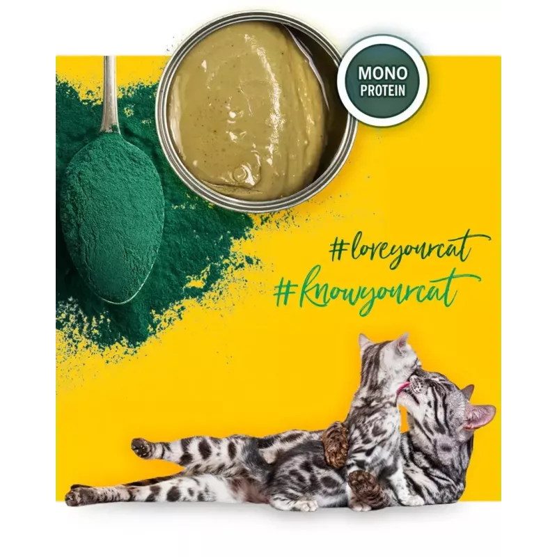 3Coty comida húmeda con pollo y espirulina para gatitos y gatas lactantes 80 g