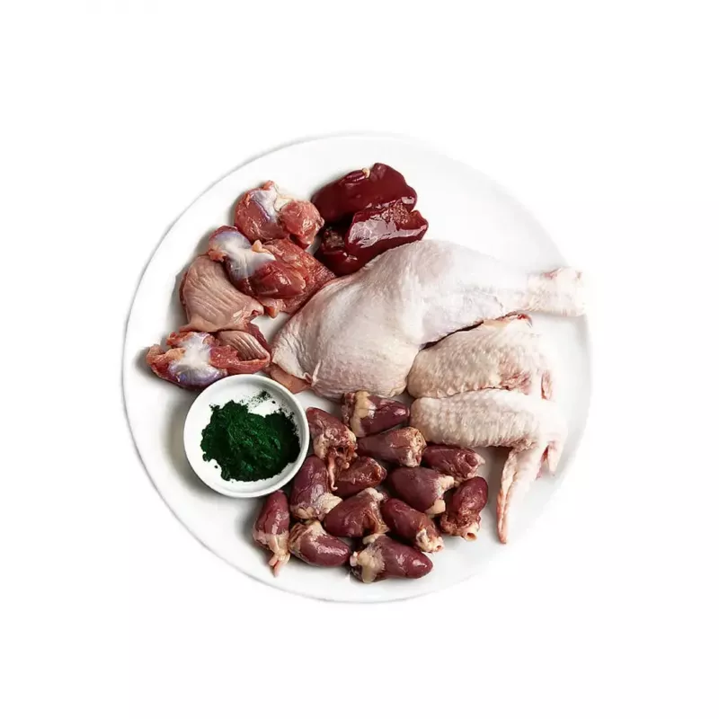 3Coty comida húmeda con pollo y espirulina para gatitos y gatas lactantes 80 g