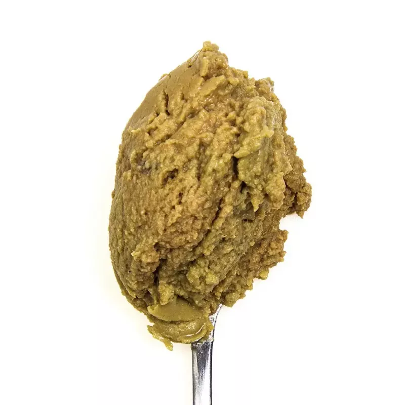 3Coty comida húmeda con pollo y espirulina para gatitos y gatas lactantes 80 g