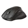Ratón inalámbrico HP 785M UF Scroll, negro, 0,123 kg