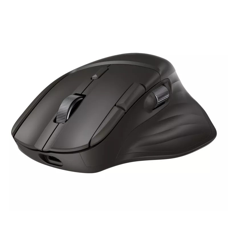 Ratón inalámbrico HP 785M UF Scroll, negro, 0,123 kg