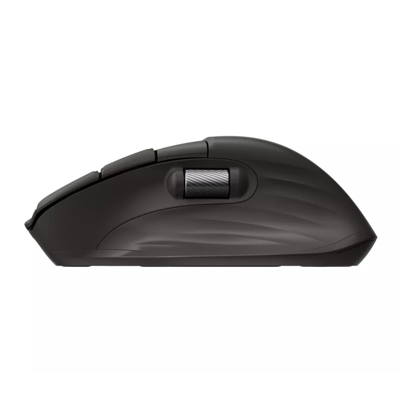 Ratón inalámbrico HP 785M UF Scroll, negro, 0,123 kg