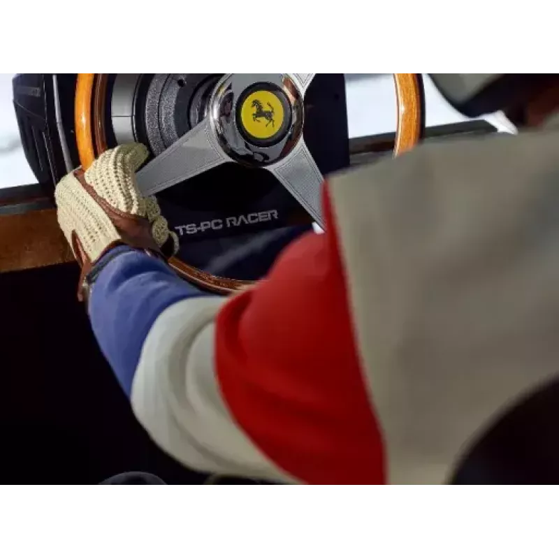 Thrustmaster 2960822 accesorio para mando de juegos volante de carreras