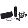 Micrófono de estudio Warm Audio WA-47JR negro