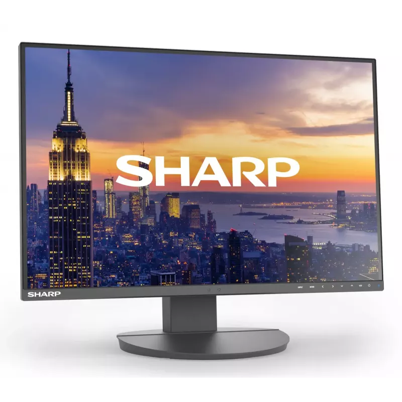 Monitor LCD Sharp MultiSync EA242W 24