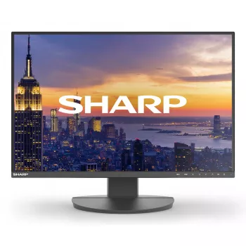 Monitor LCD Sharp MultiSync EA242W 24