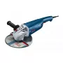 Amoladora angular Bosch GWS 2200 Professional 23 cm 6500 rpm 2200 W 5,5 kg