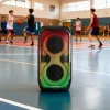 Sistema de altavoces BLAUPUNKT PB60X — 120W RMS, Bluetooth A2DP, FM, pantalla LED, batería de 7000mAh, 18h, AUX, mando a distancia, 568×322×321 mm