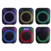 Sistema de altavoces para interior/exterior BLAUPUNKT PB6LED — 40 W RMS, Bluetooth, FM, microSD, indicador LED, batería de 4500 mAh