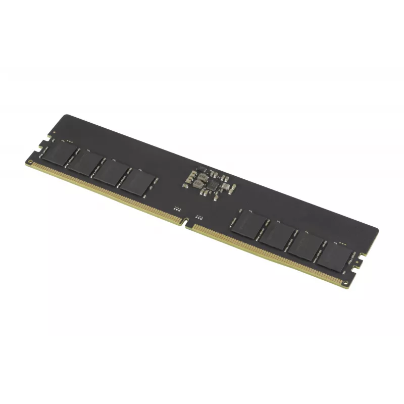 Goodram Pami DDR5 16GB/4800 CL40 - 16 GB Módulo de memoria 1 x 16 GB 288-Pin DIMM ECC
