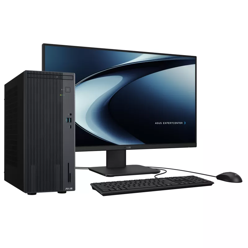 ASUS ExpertCenter P500 Mini Tower P500MV-13420H275X Intel® Core™ i5 i5-13420H 16 GB DDR5-SDRAM 512 GB SSD Windows 11 Pro PC gris