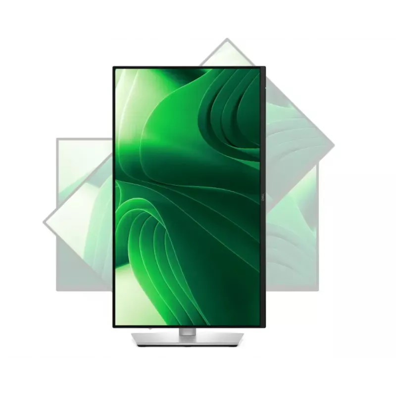 Dell P2425DE | 24