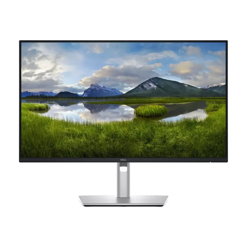 Dell P2425DE | 24
