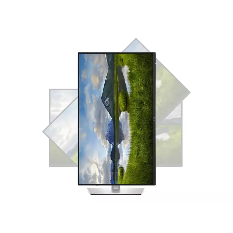 Dell P2425DE | 24