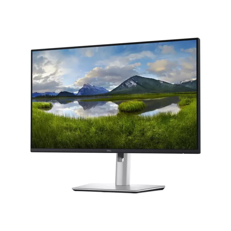 Dell P2425DE | 24