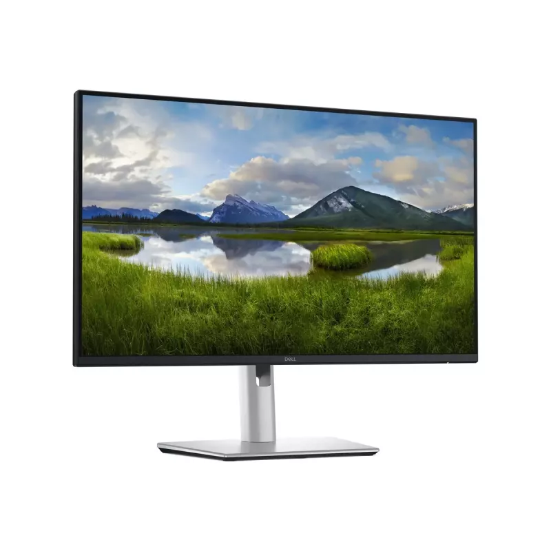 Dell P2425DE | 24