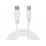 Cable Sandberg USB 3.0 A-B 1,8 m, 1,8 m, USB A, USB B, USB 3.2 Gen 1 (3.1 Gen 1), 5 Gbit/s, blanco