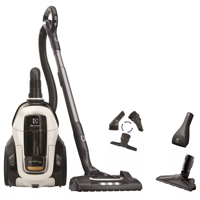 Aspirador de arrastre Electrolux PC91-ALRG en seco 650 W sin bolsa