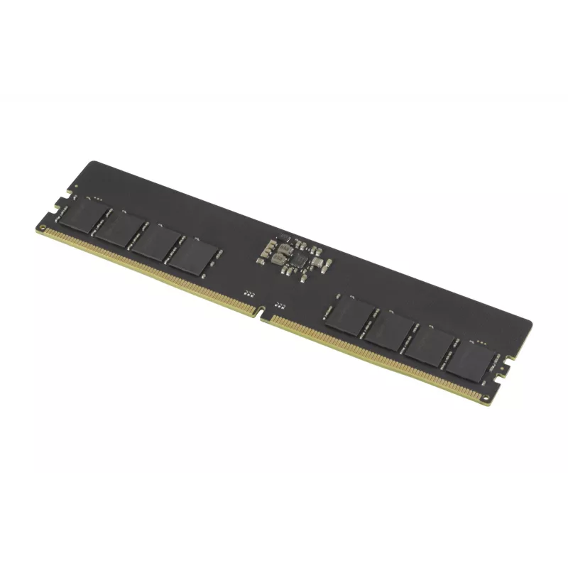 Goodram GR5600D564L46S/8G módulo de memoria 8 GB 1 x 8 GB DDR5 288 pines DIMM