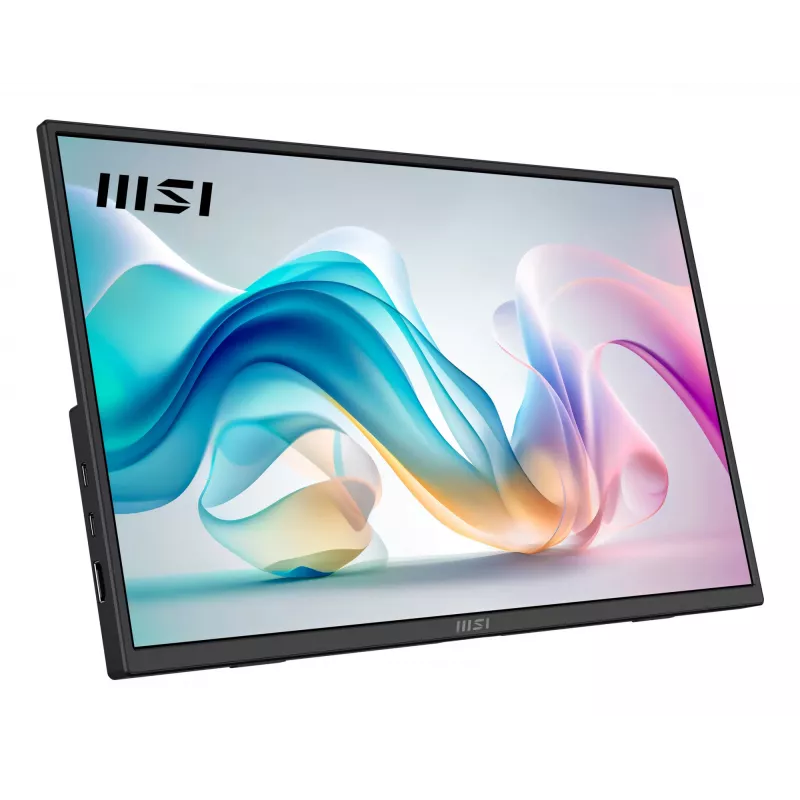 Monitor/TV portátil MSI PRO MP165 E6 Monitor portátil Negro 39,6 cm (15,6