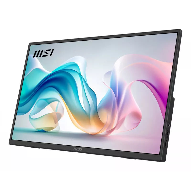 Monitor/TV portátil MSI PRO MP165 E6 Monitor portátil Negro 39,6 cm (15,6