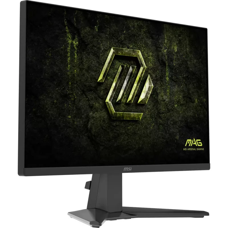 Monitor de ordenador MSI MAG 245F X24 60,5 cm (23,8