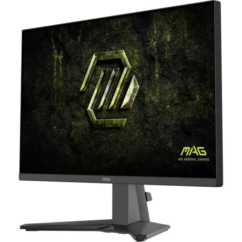 Monitor de ordenador MSI MAG 245F X24 60,5 cm (23,8