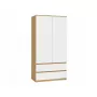 Armario top e shop MALWA SS-90, 900×500×1800 mm, cuerpo roble Artisan, puertas batientes blancas, 2 cajones, tablero de partículas