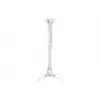 Soporte de techo Multibrackets M Universal Projector Mount I