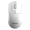 Ratón inalámbrico Sandberg Saver blanco, ambidiestro, RF Wireless, 1600 DPI, blanco