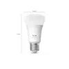 Philips Hue White and colour ambience A60 – E27 bombilla inteligente – 810