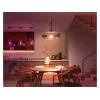 Philips Hue White and colour ambience A60 – E27 bombilla inteligente – 810
