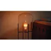 Philips Hue White and colour ambience A60 – E27 bombilla inteligente – 810