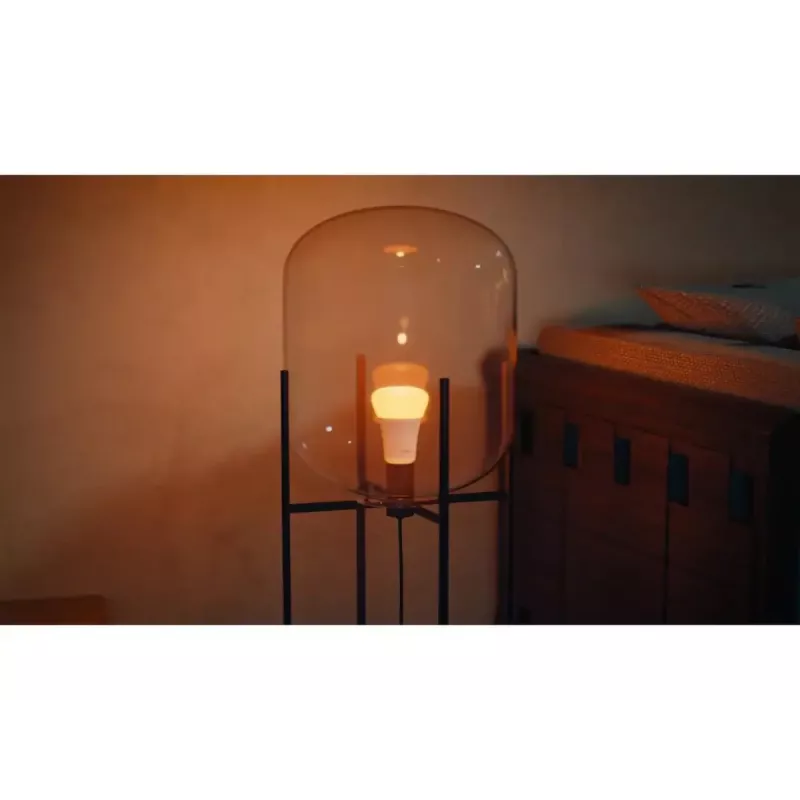 Philips Hue White and colour ambience A60 – E27 bombilla inteligente – 810