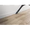 Hoover HP105HM 011 Aspirador de cilindro 2 L en seco 700 W sin bolsa