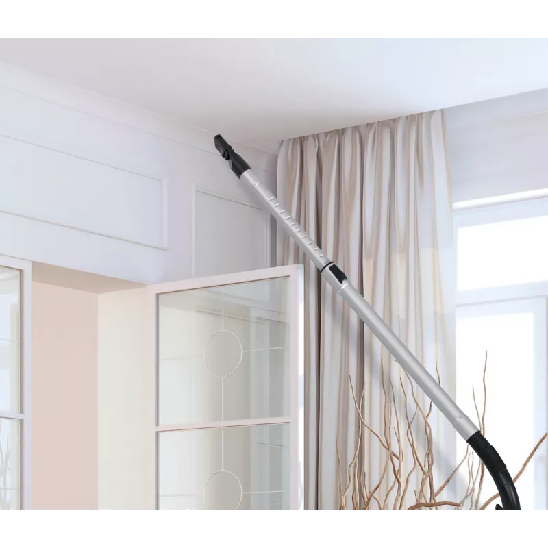 Hoover HP210P 011 Aspirador de suelo 2.5 L en seco 800 W sin bolsa
