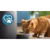 Philips PAW5320/02 5000 series comedero inteligente con cámara
