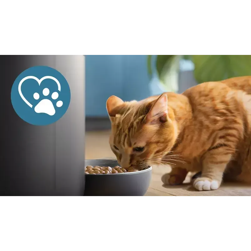 Philips PAW5320/02 5000 series comedero inteligente con cámara